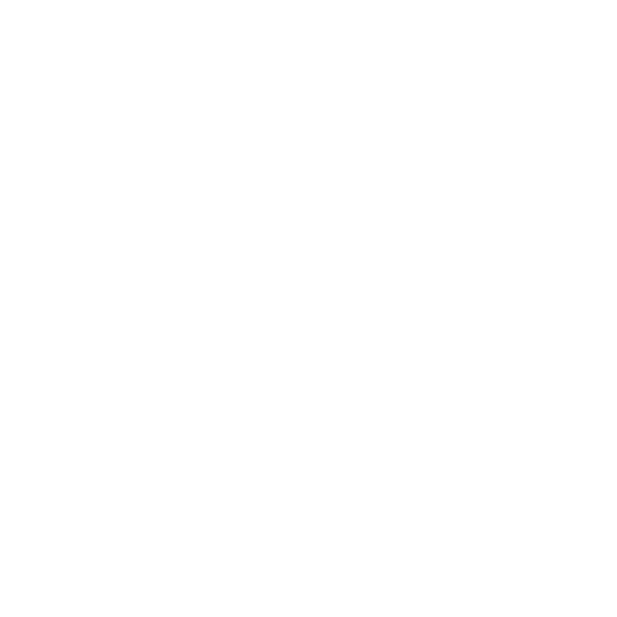 BotFrame Logo