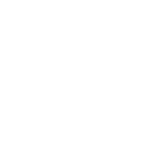 Logo de BotFrame
